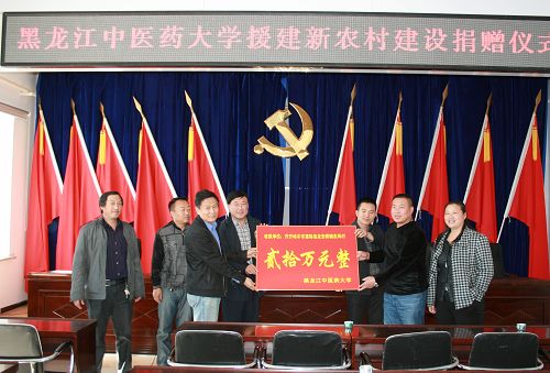 bbin下载赴齐齐哈尔市富裕县龙安桥镇开展帮扶帮建工作